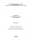 SISTEMA DE TRATAMIENTO Y DISPOSICIÓN FINAL DE RESIDUOS SÓLIDOS