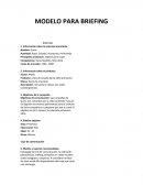 MODELO PARA BRIEFING