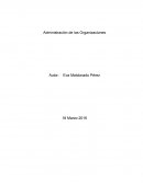 Administración de las Organizaciones.
