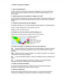 Escribe el concepto de indígena?