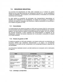 Informe HS - Preliminar. Página 1