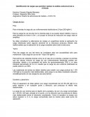 Identificación de cargas que permiten realizar el análisis estructural de la vivienda