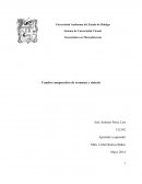 Cuadro comparativo de resumen y síntesis