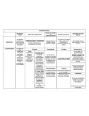 Tipos de organizaciones cuadro