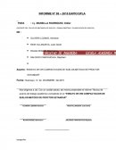 ENSAYO DE DW COMPACTACION DE SUELOS-METODO DE PROCTOR ESTANDAR