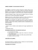 ARMADO, AMARRE Y COLOCACION DE CASTILLOS