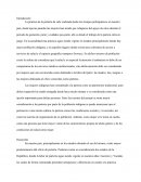 PRÁCTICAS DE PARTERÍA EN MEXICO