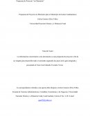 Propuesta de proyecto mi marranito