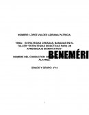 ESTRATEGIAS CREADAS, BASADAS EN EL TALLER “ESTRATEGIAS DIDÁCTICAS PARA UN APRENDIZAJE SIGNIFICATIVO”
