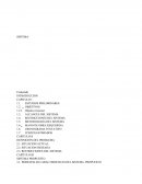 La empresa "JACK E HIJOS SRL"