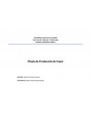 Planta de Producción de Vapor Descripción del Proceso