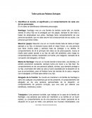 Taller película Relatos Salvajes