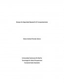 SEGURIDAD BASADA EN EL COMPORTAMIENTO