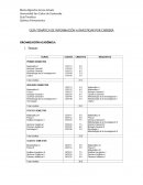 GUÍA TEMÁTICA DE INFORMACIÓN A INVESTIGAR POR CARRERA ORGANIZACIÓN ACADÉMICA