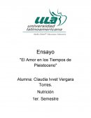 Ensayo "El Amor en los Tiempos de Pleistoceno"