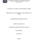 PORNOGRAFÍA EN LA JUVENTUD