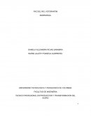 HISTORIA DE ACERIAS PAZ DEL RÍO
