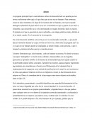 Ensayo acerca de El Aborto