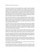 Mamíferos mexicanos, situación alarmante