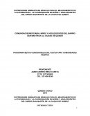 EXPRESIONES GIMNASTICAS BÁSICAS PARA EL MEJORAMIENTO DE LA FLEXIBILIDAD Y LA COORDINACIÓN EN NIÑOS Y ADOLESCENTES DEL BARRIO SAN MARTÍN DE LA CIUDAD DE QUIBDÓ