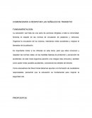 COMENCEMOS A RESPETAR LAS SEÑALES DE TRANSITO