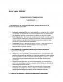 Que aspectos de las diferencias individuales pueden representar en los procesos de gestión gerencial?