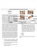 TALLER N° 6 PREPARATORIO