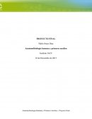 Anatomofisiología humana y primeros auxilios. Caso hipotético