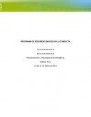 PROGRAMA DE SEGURIDAD BASADO EN LA CONDUCTA