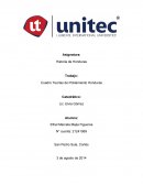 Cuadro Teorías de Poblamiento Honduras