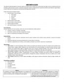 Abdomen agudo, su diversos tipos