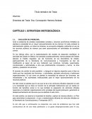 CAPÍTULO I. ESTRATEGIA METODOLÓGICA