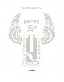 Almacenes generales de deposito. Cuadro comparativo;