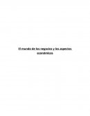 El mundo de los negocios y los aspectos económicos