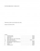 ESTUDIO HIDROLÓGICO - HIDRAULICO