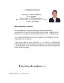 Modelo de Curriculum Vitae de profesional de Administración