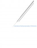 Impacto y repercusiones fisiológicas y el Burnout en la persona