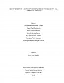 IDENTIFICACION DE LAS PRINCIPALES ESTRATEGIAS UTILIZADAS POR UNA CADENA DE SUMINISTRO