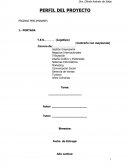 PERFIL DEL PROYECTO PÁGINAS PRELIMINARES