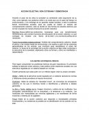 Accion colectiva, vida cotidiana y democracia