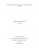 ANÁLISIS CRÍTICO A LOS TRATADOS DE LIBRE COMERCIO Y SUS CONSECUENCIAS