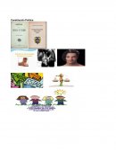 Constitución Política. Tarea.