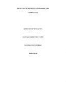 LOS RABAJADORES DEL CAMPO.