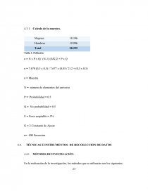 PLAN ESTRATEGICO PARA LA ADMINISTRACION DE LAS RECAUDACIONES DE LOS TRIBUTOS DEL GAD DEL CANTON MOCACHE, PROVINCIA DE LOS RIOS. Página 23