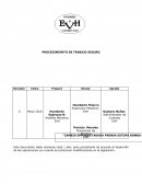 PROCEDIMIENTO DE TRABAJO SEGURO.