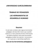 LAS HERRAMIENTAS DE DESARROLLO HUMANO