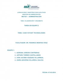 CASO VOYANT TECHNOLOGIES. Página 1