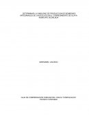 DETERMINAR LA VIABILIDAD DE PRODUCCION DE BOMBONES ARTESANALES DE CHOCOLATE EN EL CORREGIMIENTO DE OLAYA MUNICIPIO DE BALBOA