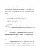 El Departamento de Gestión de Proyectos AtekPC.