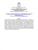 Laboratorios de Biología Celular y Microbiología.